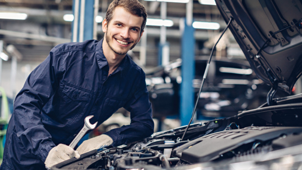 wmremove-transformed (1)